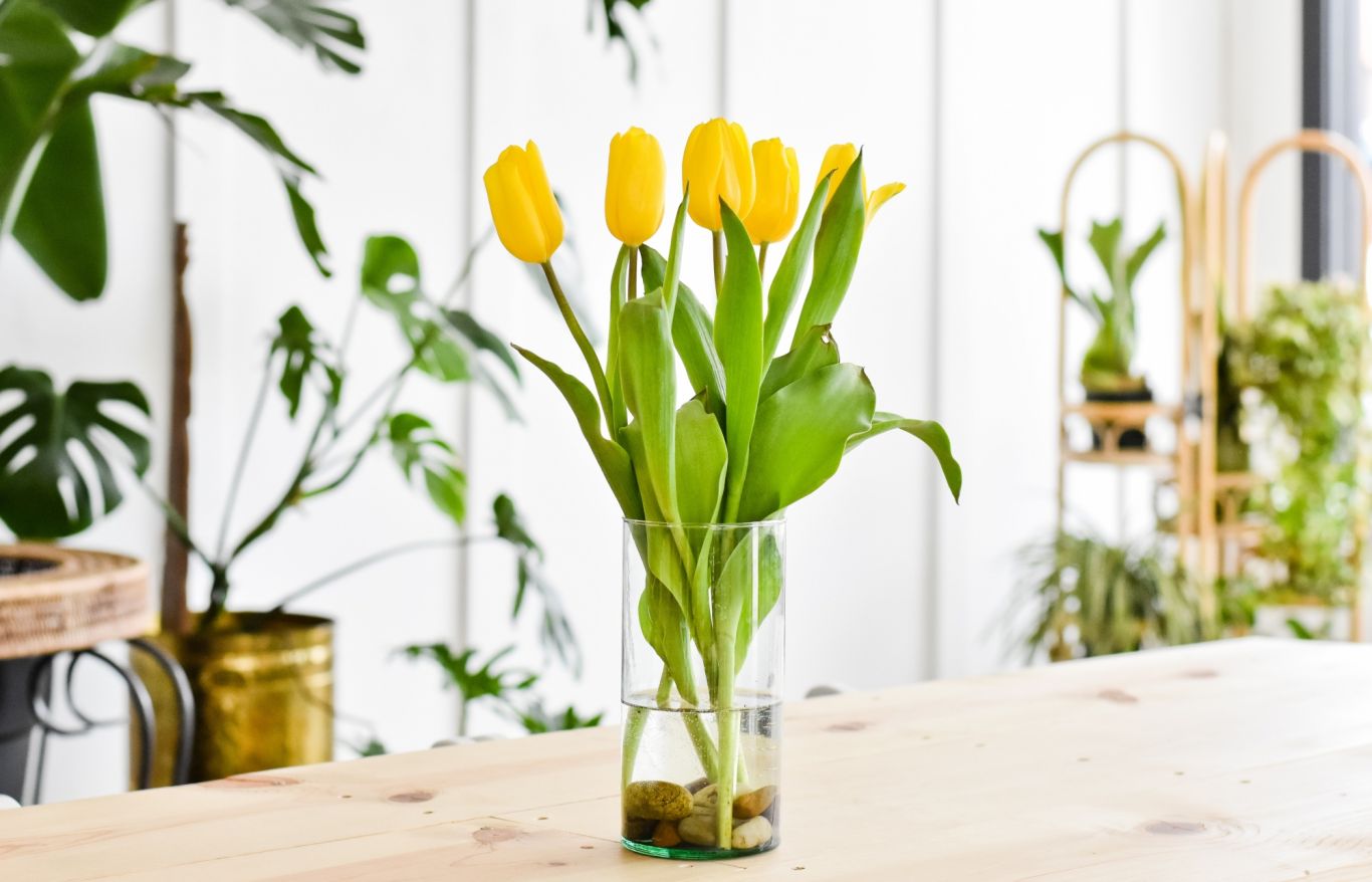 Ontspannig allie smith u CL Xnzr WVL0 unsplash